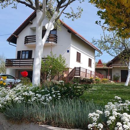 Apartment Ankica Селище Дрезницко Екстериор снимка