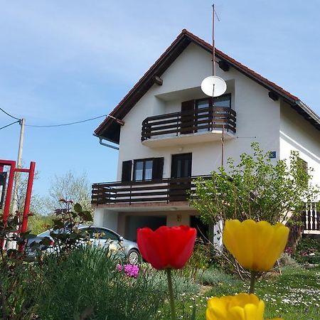 Apartment Ankica Селище Дрезницко Екстериор снимка