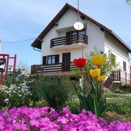 Apartment Ankica Селище Дрезницко Екстериор снимка