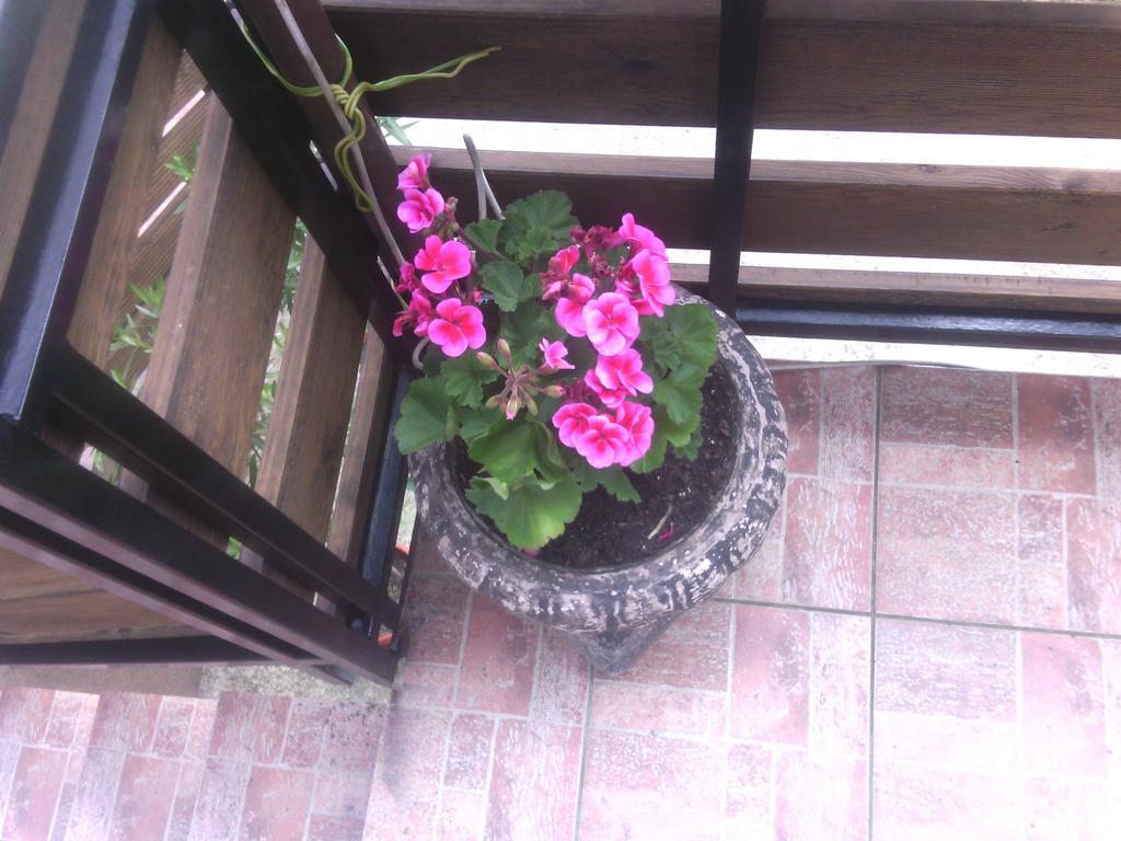 Apartment Ankica Селище Дрезницко Стая снимка