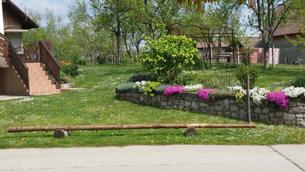 Apartment Ankica Селище Дрезницко Екстериор снимка