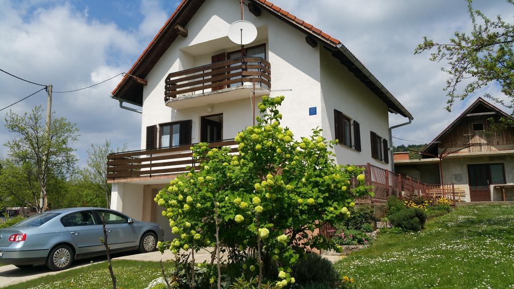 Apartment Ankica Селище Дрезницко Екстериор снимка