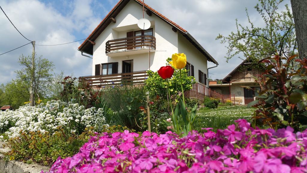 Apartment Ankica Селище Дрезницко Екстериор снимка