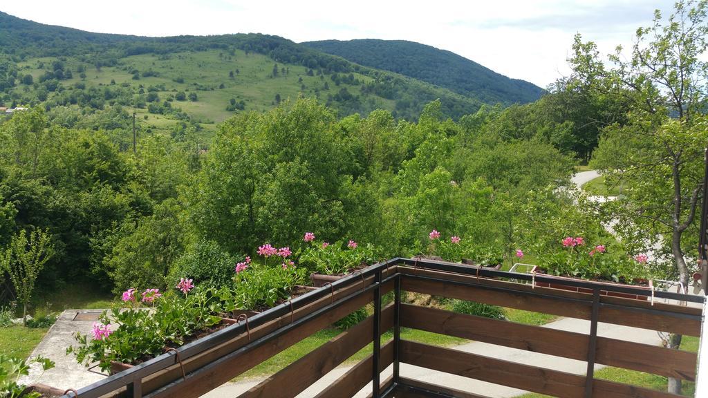 Apartment Ankica Селище Дрезницко Екстериор снимка