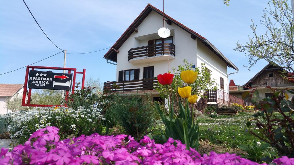 Apartment Ankica Селище Дрезницко Екстериор снимка