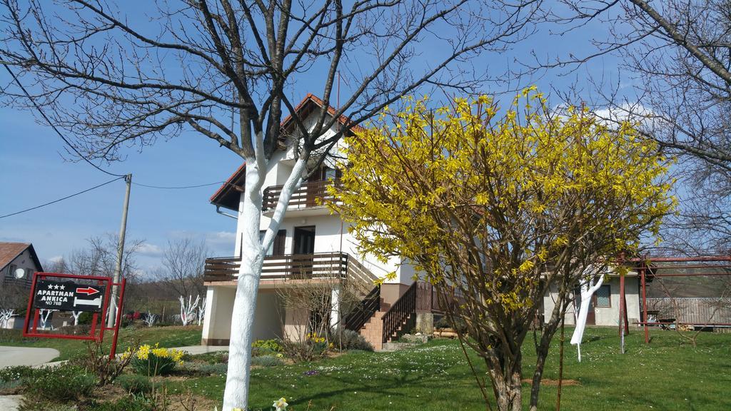 Apartment Ankica Селище Дрезницко Екстериор снимка