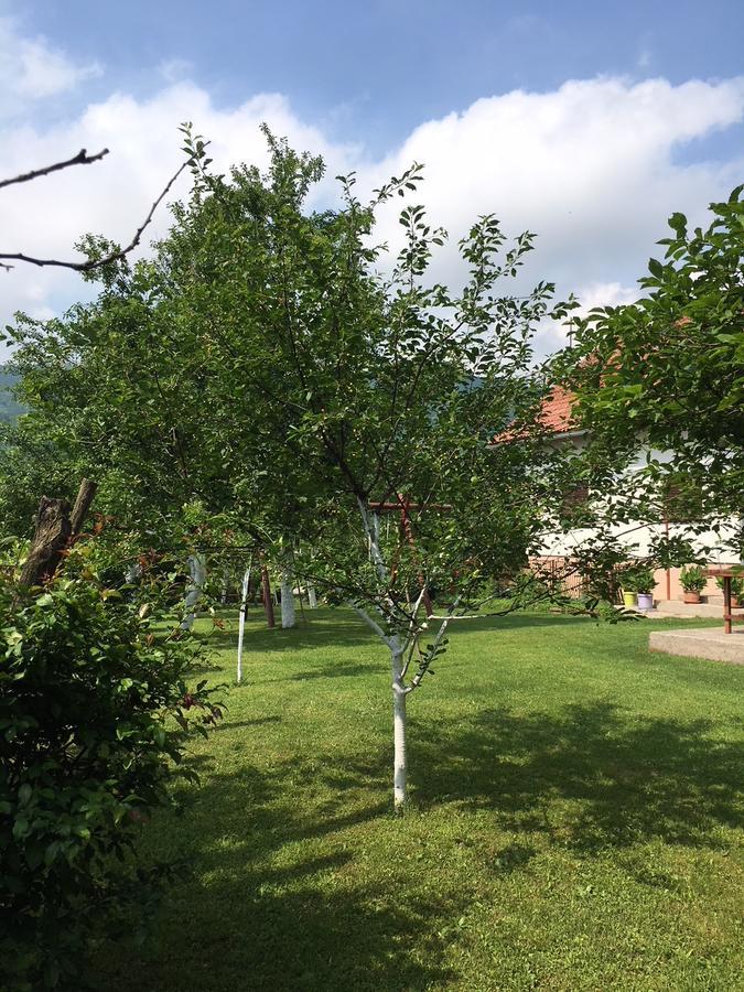 Apartment Ankica Селище Дрезницко Екстериор снимка