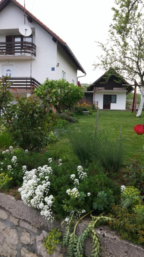 Apartment Ankica Селище Дрезницко Екстериор снимка