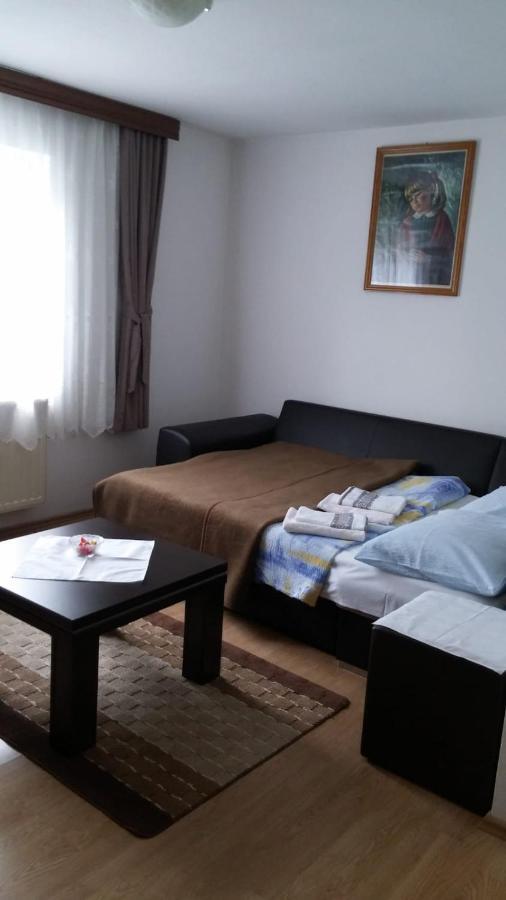 Apartment Ankica Селище Дрезницко Екстериор снимка